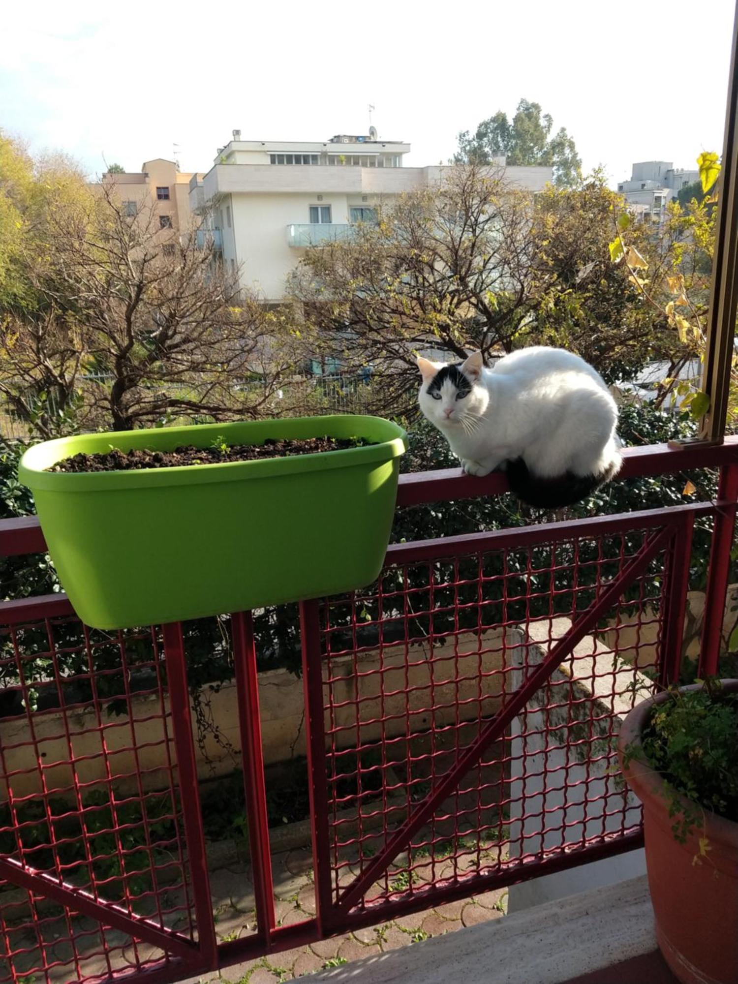 Intero Appartamento Con Giardino E Parcheggio Rome Extérieur photo